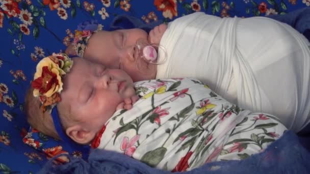 Gemelos Cámara Lenta Niñas Gemelas Recién Nacidas Recién Nacidos — Vídeo de stock