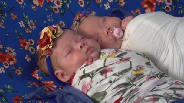 Αργή Κίνηση Κοιμισμένα Κορίτσια Δίδυμα Νεογέννητα Μωρά — Αρχείο Βίντεο