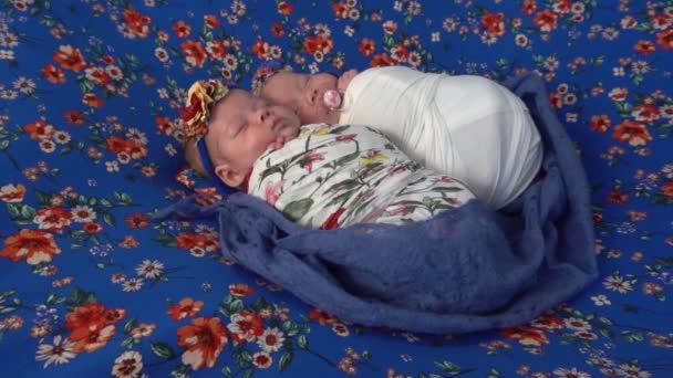 Pomalý Pohyb Novorozená Dvojčata Spí — Stock video