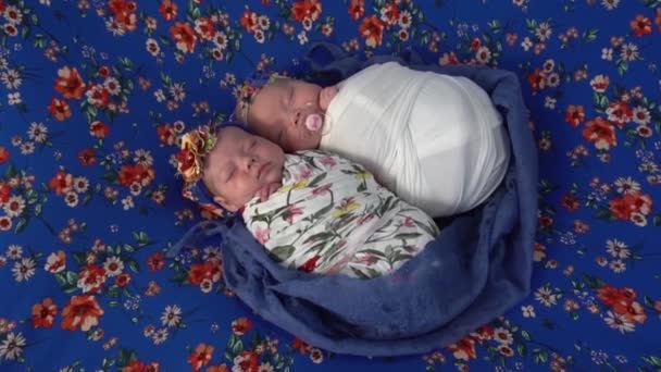 Adorável Doce Bonito Gêmeos Recém Nascidos Meninas Envoltório — Vídeo de Stock