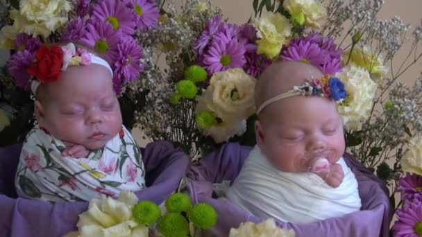 Slow Motion Tvillingar Nyfödda Tvillingar Korg — Stockvideo