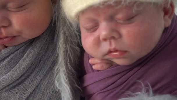 Sevimli Yeni Doğmuş Bebek Ikiz Kızlar Tavşan Şapkası Takıp Kürklerinde — Stok video