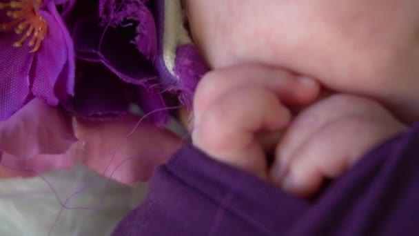 Novorozeně Spící Dítě Světlém Pozadí Věnec Fialové Květy Close — Stock video
