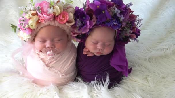 Érzékeny Újszülött Lányok Ikrek Levendula Virágokkal — Stock videók