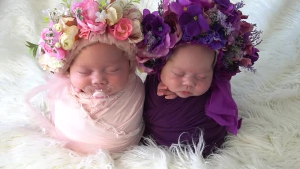 スローモーション赤ちゃんの双子は頭の上に花とベッドに横たわっています — ストック動画