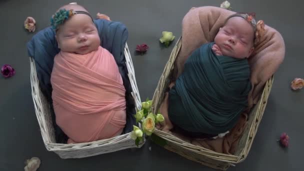 Dvojčata Sestry Novorozenec Vinutí Košíku Šedém Pozadí Květiny — Stock video