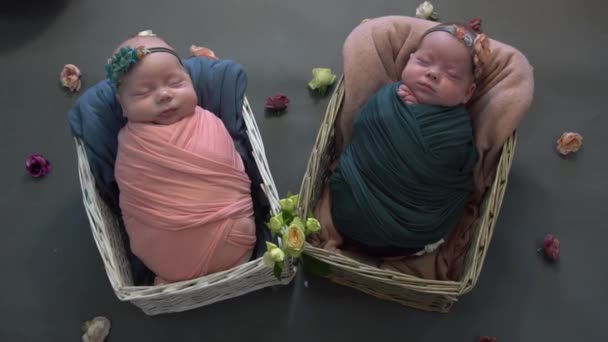 Movimento Lento Irmãs Gêmeas Recém Nascidas Dormem — Vídeo de Stock