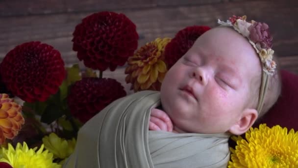 Movimento Lento Menina Bonita Com Flores Bebê Recém Nascido Com — Vídeo de Stock