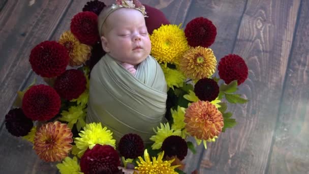 Slow Motion Recién Nacido Niña Sobre Fondo Marrón Con Flores — Vídeos de Stock
