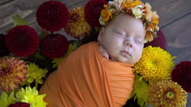 Dziecko Leży Kocu Noworodka Dziewczynka Kwiaty — Wideo stockowe