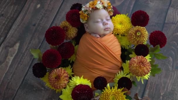 Slow Motion Newborn Baby Flowers — ストック動画