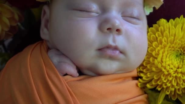 Neugeborenes Baby Mädchen Schöne Baby Blumen Baby — Stockvideo