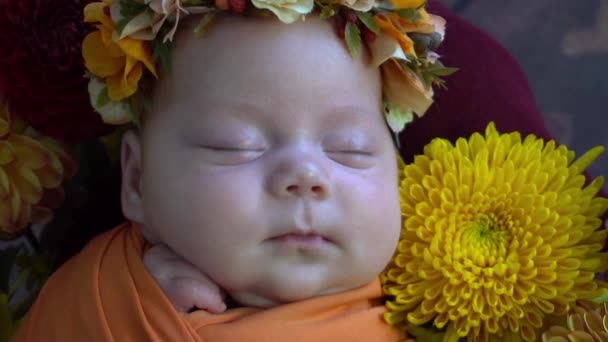 Powolny Ruch Noworodka Dziewczynka Pobliżu Kwiatów — Wideo stockowe