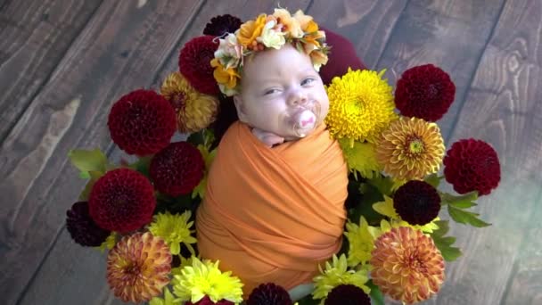 Lindo Bebé Recién Nacido Con Flores — Vídeo de stock