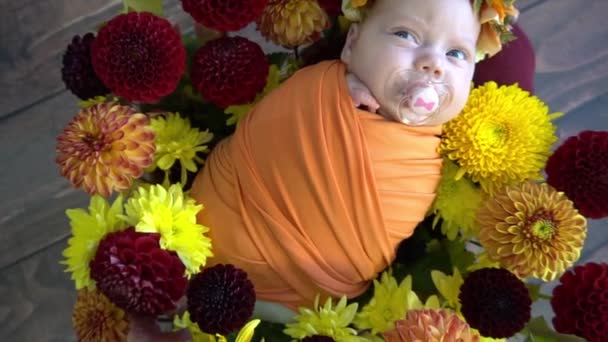 Newborn Baby Girl Sleeping Swaddled Fabric Basket Decorated Plants — Stockvideo