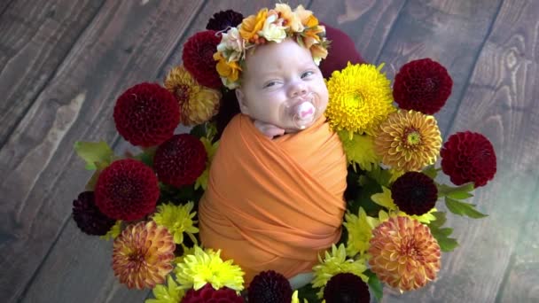 Movimento Lento Bebê Recém Nascido Adorável Deitado Cesta Com Flores — Vídeo de Stock