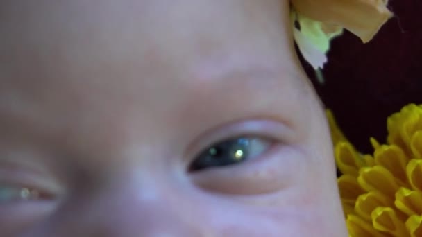 Bebê Recém Nascido Adorável Com Chupeta Cesta Vime Vista Superior — Vídeo de Stock