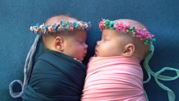 Slow Motion Newborn Twin Babies Portrait — Stockvideo