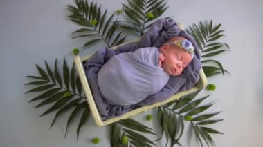 Slow Motion Newborn bebeği eğrelti otunda uyuyor.