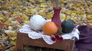 Sonbahar bahçesinde sonbahar kompozisyonu