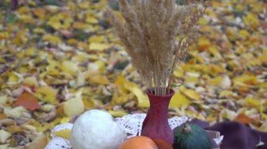 Sonbahar arkaplanındaki Yavaş Hareket çiçekleri 