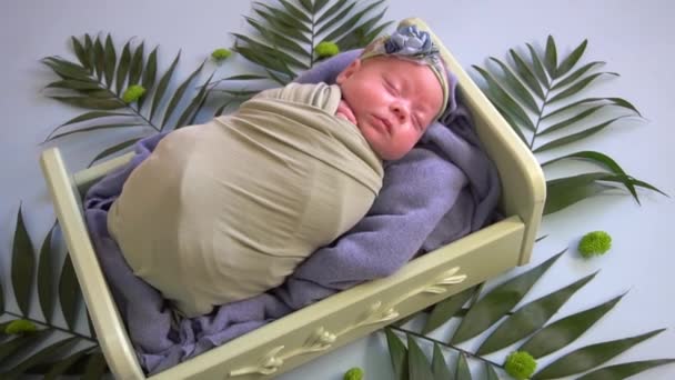 Slow Motion Newborn Sweetly Sleeps Basket Green Plants — ストック動画