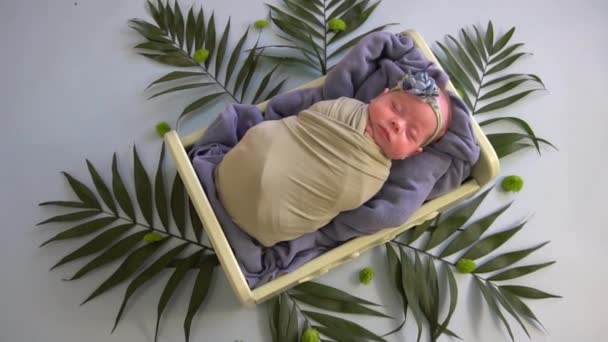 Nouveau Bébé Fille Portant Belle Couronne Couché Dans Panier Avec — Video