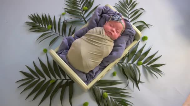 Newborn Baby Girl Boy Sleeping Swaddled Fabric Basket Decorated — Stock Video