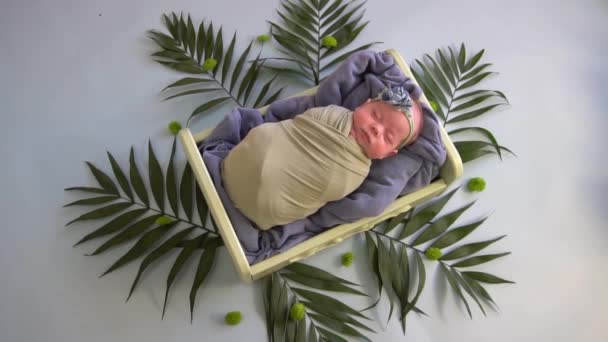 Slow Motion Newborn Baby Sleeps Bed Flower Decorations Palm Leaves — ストック動画