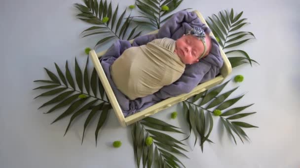 Newborn Baby Girl Sleeping Swaddled Fabric Bed Decorated Plants — Stockvideo