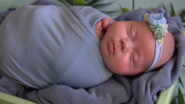 Baby Slaapt Een Bed Versierd Met Groene Palmbladeren Een Groene — Stockvideo