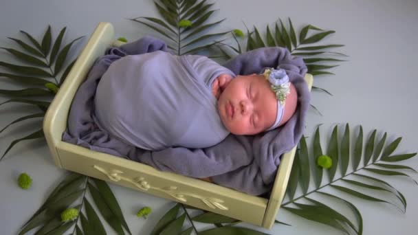 Κοιμώμενο Νεογέννητο Μωρό Ένα Κρεβάτι Τροπικά Φύλλα Φοίνικα — Αρχείο Βίντεο