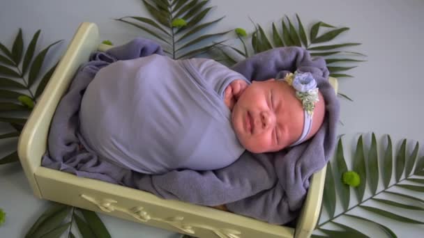 Αργή Κίνηση Νεογέννητο Μωρό Παιδί Στο Κρεβάτι Ανάμεσα Στα Φύλλα — Αρχείο Βίντεο