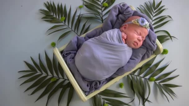 Новорожденный Фиолетовом Коконе Спит Деревянной Кровати Украшенной Листьями — стоковое видео