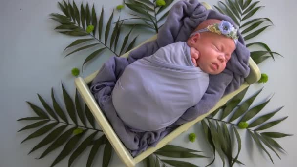 Slow Motion Pasgeboren Baby Het Kind Het Bed Tussen Bladeren — Stockvideo