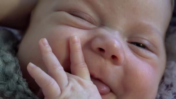 Adorable Newborn Baby Girl Sleeping Beginning Life Happy Childhood — Stock Video