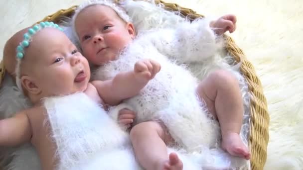 Sleeping Newborn Gir Lies White Fur Newborn Twins — Stockvideo