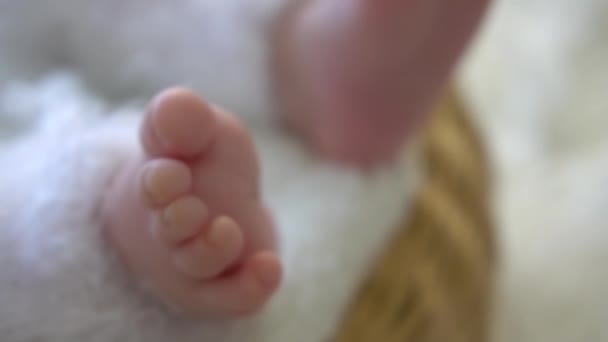 运动缓慢可爱的新生儿躺在柳条篮里 专注于双腿 — 图库视频影像