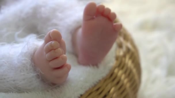 Ноги Новонародженого Загортають Язану Білу Ковдру Новонароджена Дитина — стокове відео