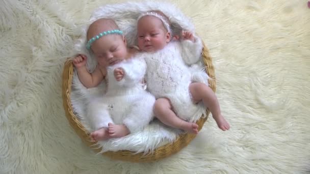 Newborn Twins Sleeping Fluffy Pad Bowl Babies Lie Together — Stock Video