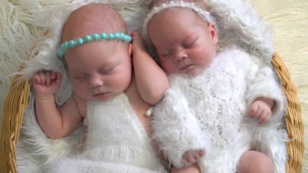 Lambat Motion Twin Bayi Yang Baru Lahir Dalam Keranjang — Stok Video