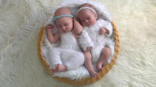 Newborn Twin Sisters Sleep — Stockvideo