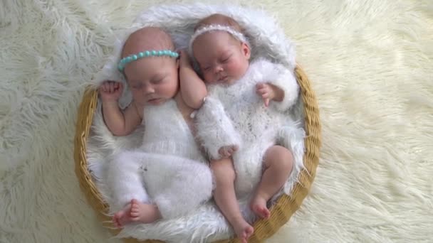 Slow Motion Twin Newborns Basket — Stockvideo