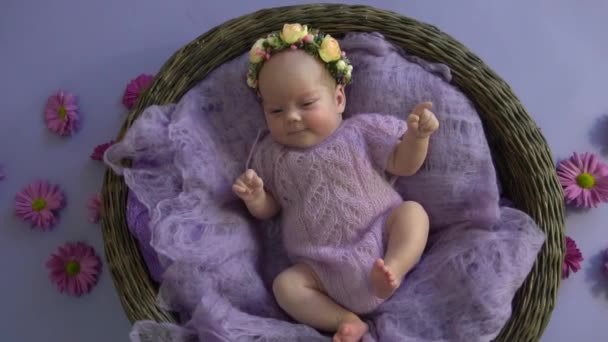 Newborn Girl Purple Purple Background Colors Blossoms — Stockvideo