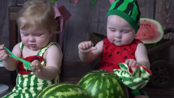 Porträt Der Süßen Zwillinge Wassermelonen Kostüm — Stockvideo