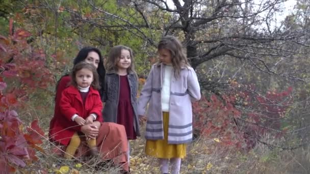 Прекрасная Семья Отдыхает Осеннем Парке — стоковое видео