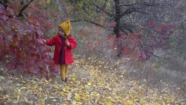 Mała Dziewczynka Czerwonym Kapeluszu Czerwonej Sukience Rzuca Żółte Liście Jesiennym — Wideo stockowe