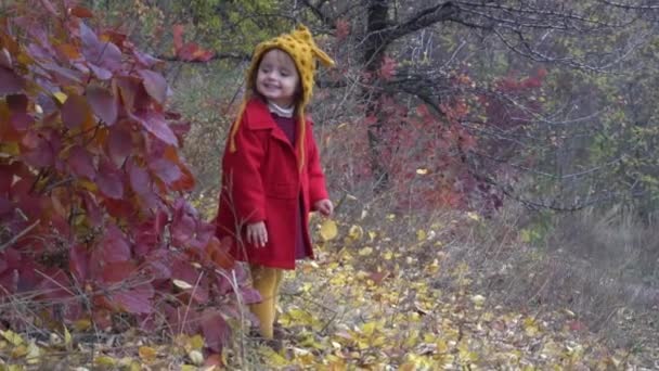 Κορίτσι Ένα Κόκκινο Φόρεμα Πολύχρωμο Φθινόπωρο Πάρκο — Αρχείο Βίντεο