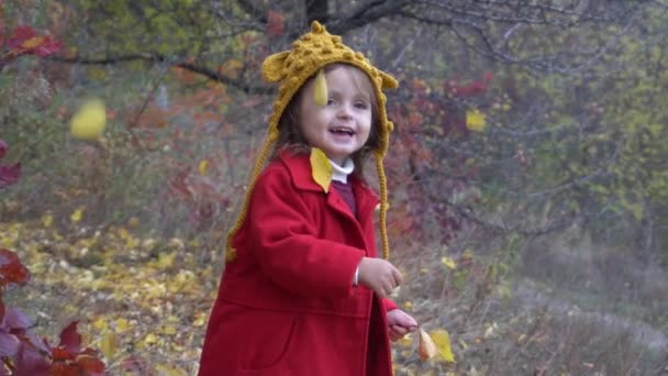 Zeitlupe Kleines Mädchen Herbstpark — Stockvideo