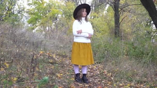 Slow Motion Una Chica Guapa Con Sombrero Parque Otoño Color — Vídeos de Stock